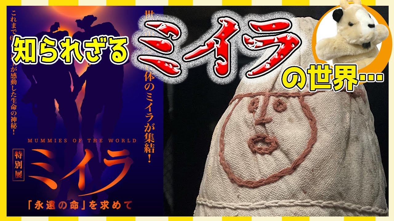 【話題沸騰!!】世界のミイラの集うミイラ展!!エジプトだけじゃない、世界か集まった42体のミイラを見よ!!