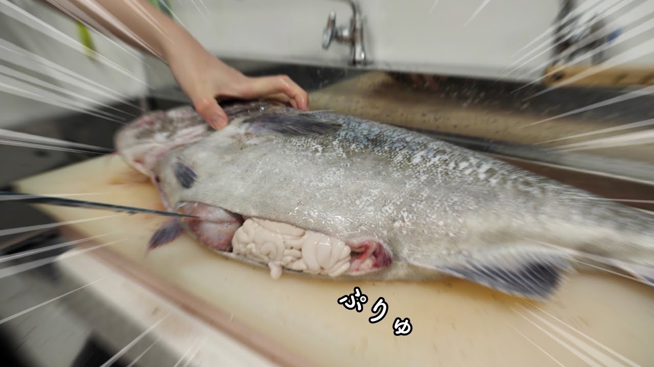 過去一の【白子入りマダラ】が入りました！禁断のアノ食べ方をします。