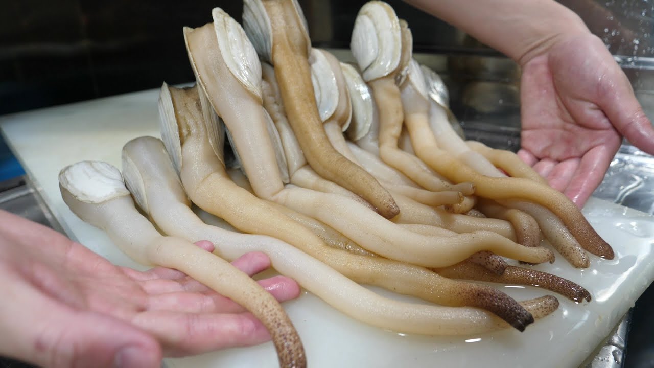 でかすぎて、殻に収まりきらない巨大貝で寿司作る。【重大発表あり】