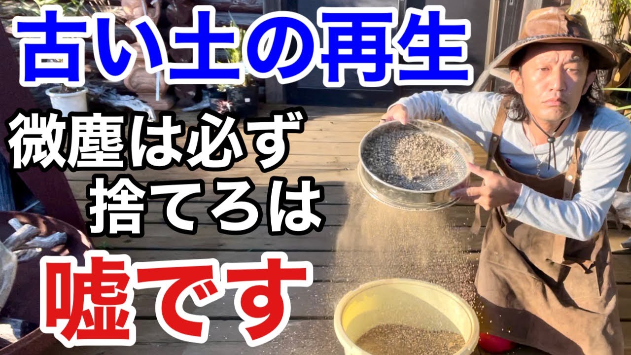 【疑問を解決】古い土全て使える土に再生できます　　　　【カーメン君】【園芸】【ガーデニング】【初心者】