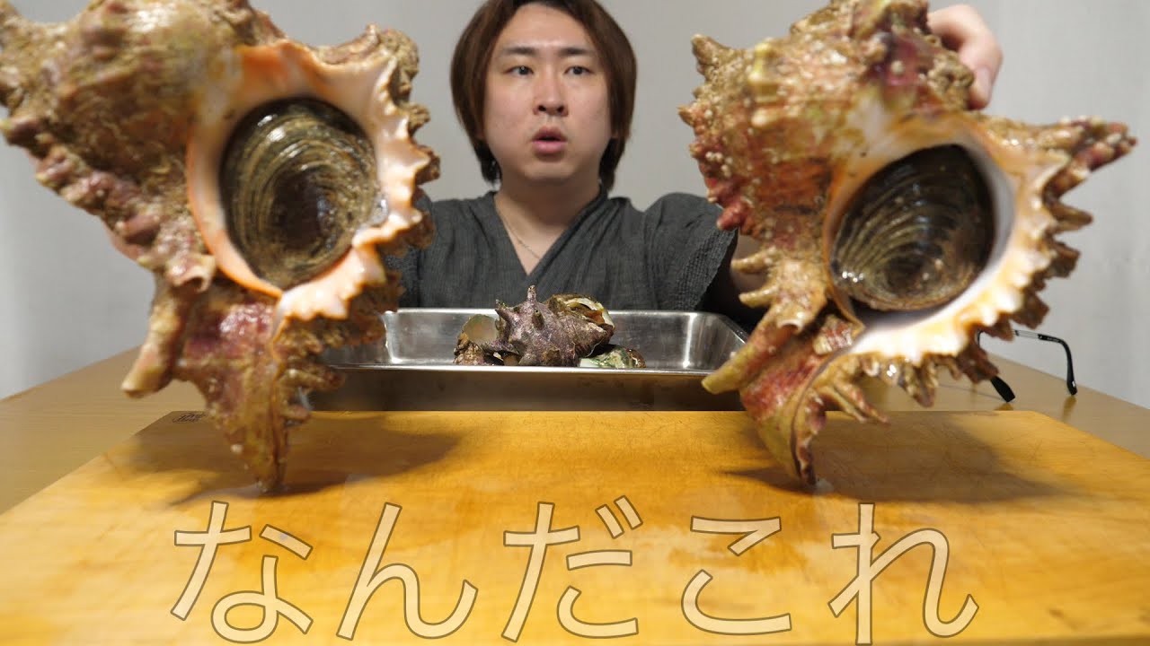 サザエの進化系?【鬼サザエ】ってなんなの？www