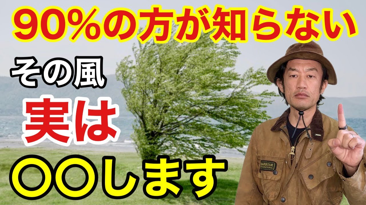 【目からウロコ】今日からあなたの植物管理が劇的に変わります　　　【カーメン君】【風】【ガーデニング】【初心者】