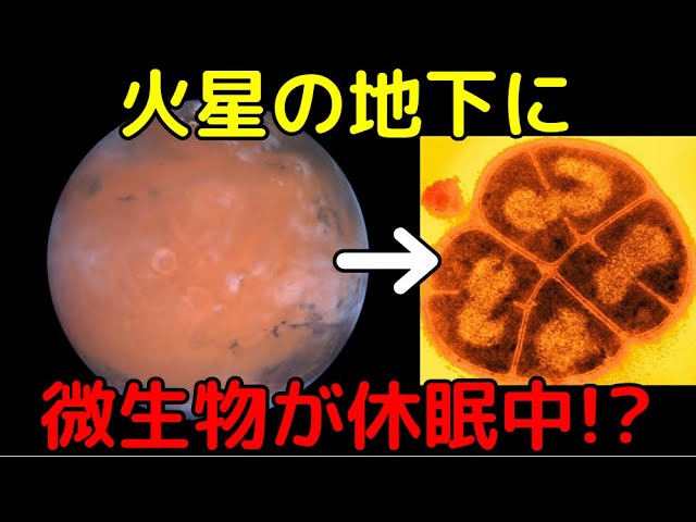 火星には生きた微生物が残っていて、地下で休眠中である可能性が浮上