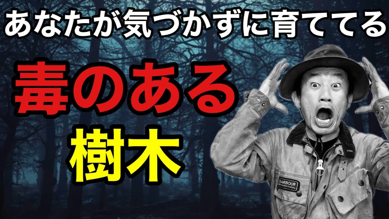 【教えてくれない】お店で販売している毒のある樹木教えます　【カーメン君】【園芸】【ガーデニング】【初心者】