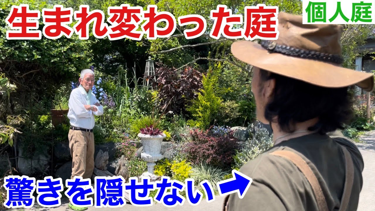 【何が起こったこの庭】やる気のなかった修さんが本気を出した　個人庭公開　　　　　　　　　【カーメン君】【園芸】【ガーデニング】【個人庭】【修さん】