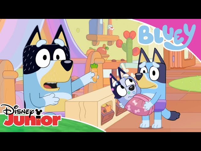 Purple Underpants? 💜 | Bluey 💙 | Disney Junior Arabia